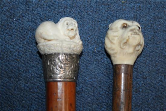 A Victorian ivory topped walking cane, largest 36.5in. (4)